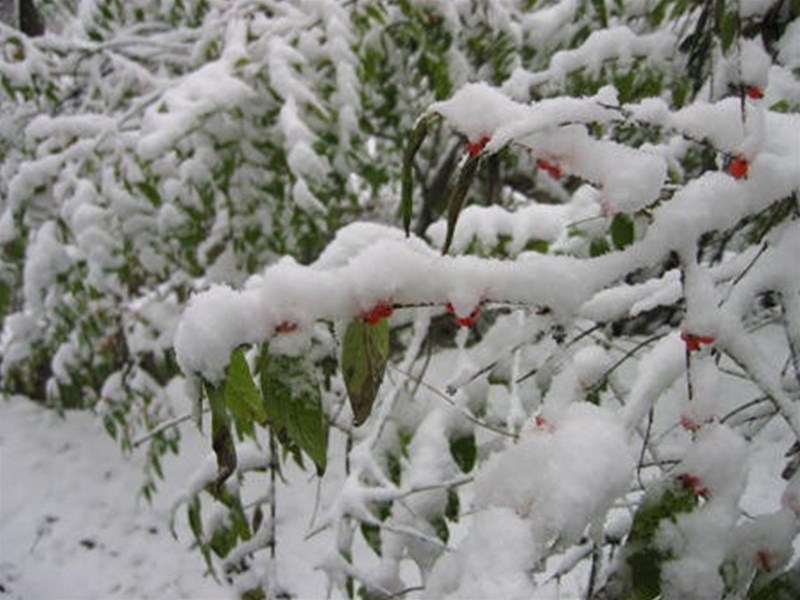 第二天---猫鼻梁的清早，双桥沟的秋雪，斜阳下的丹巴雕镂群，甲居藏寨拉姆家
