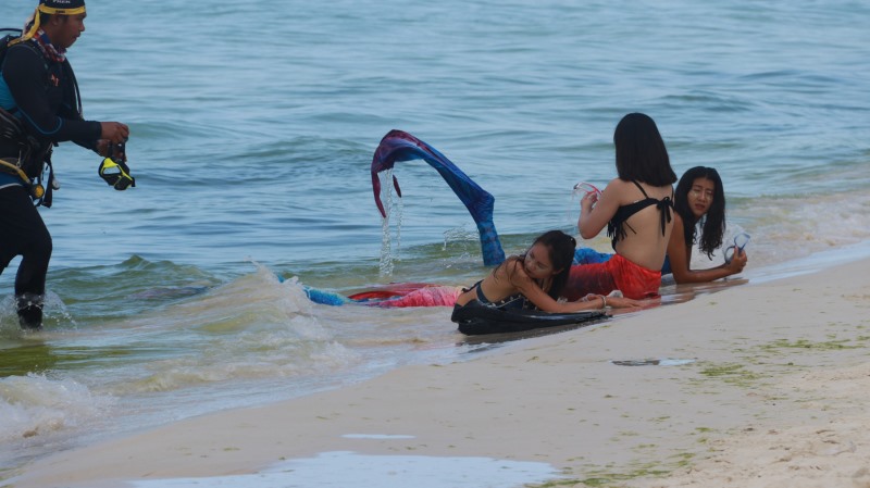 海滩美人鱼