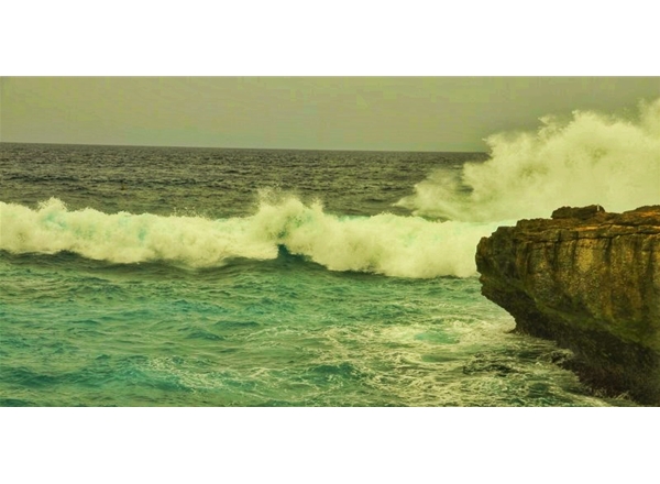 浪花